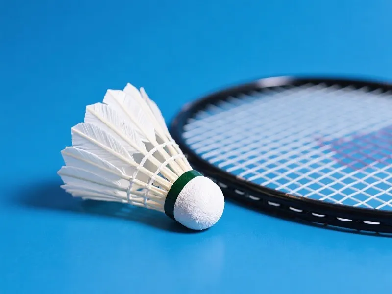 羽毛球轻羽飞扬